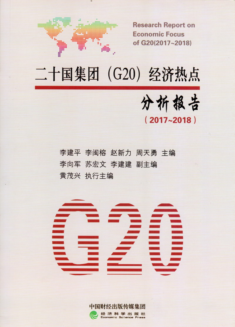 好大好白插我视频二十国集团（G20）经济热点分析报告（2017-2018）