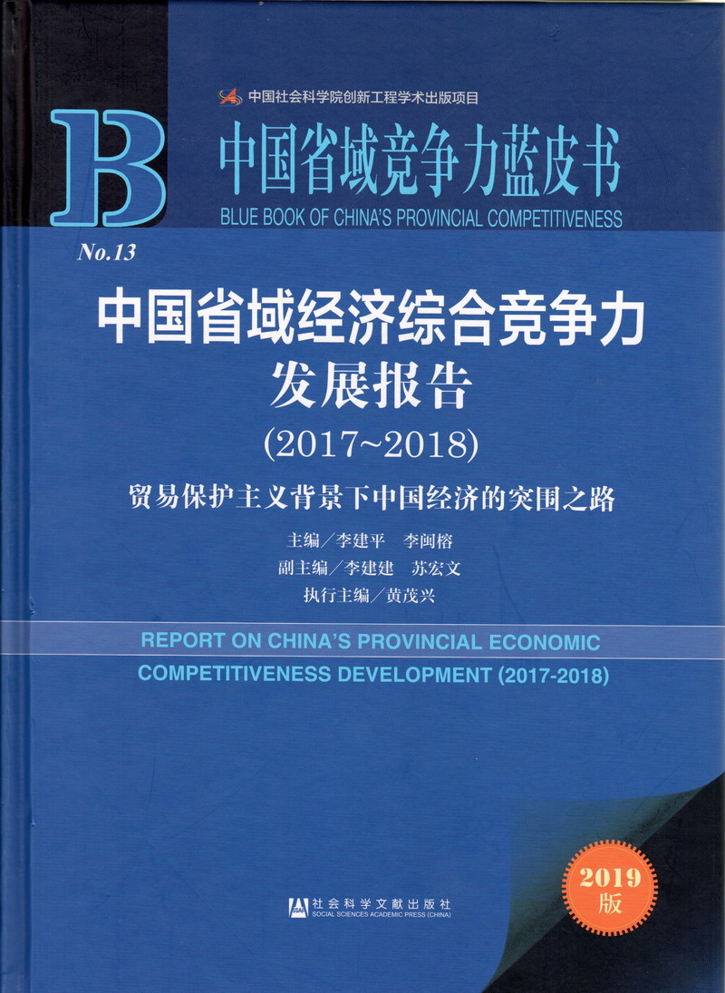 长屌操白虎嫩逼美女网站中国省域经济综合竞争力发展报告（2017-2018）